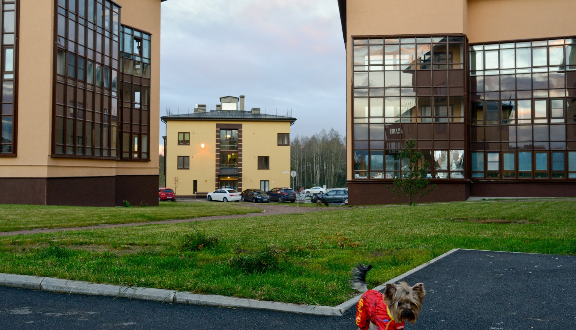 3-комнатная, 88 м² — ЖК ЖК ЭкоСити