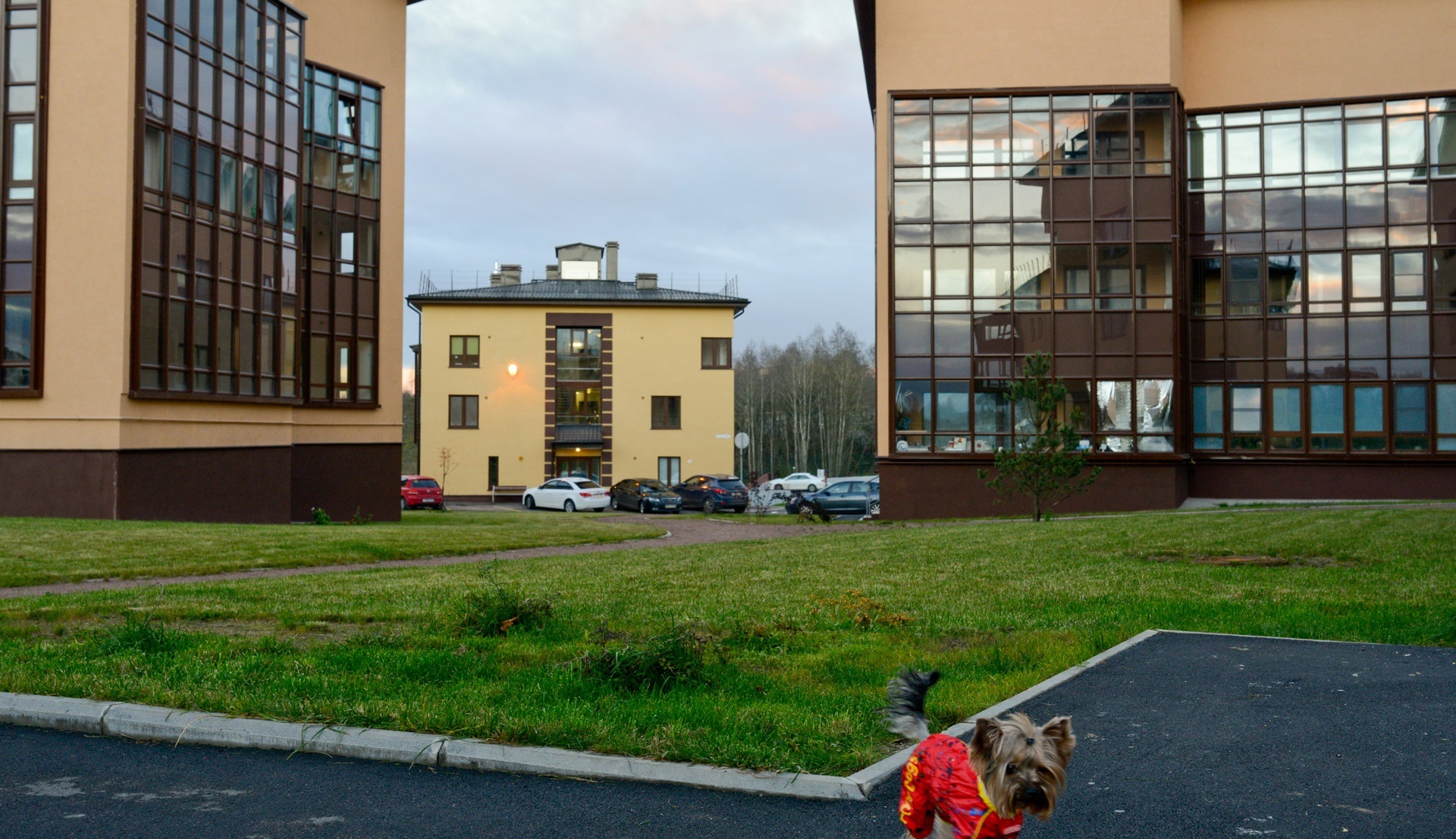 3-комнатная, 85 м² — ЖК Жилой микрорайон Mistola Hills (Мистола Хиллс)
