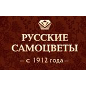 РС-строй